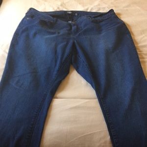 Torrid Skinny Jeans